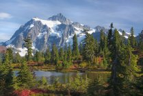 Mount Shucksan in der Nordkaskade der Berge im Herbst. — Stockfoto