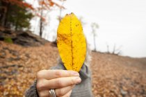Mulher segurando folha de outono obscurecendo seu rosto . — Fotografia de Stock