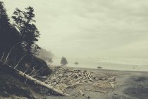 Küste von Rubinstrand mit Treibholzhaufen am Ufer, olympischer Nationalpark, USA — Stockfoto
