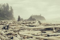 Linea costiera di Ruby Beach con cumuli di legname alla deriva sulla riva, Olympic National Park, Stati Uniti — Foto stock
