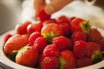 Personne prenant à la main des baies dans un bol de fraises fraîches, gros plan . — Photo de stock