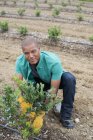 Junger Mann begutachtet Blaubeersträucher auf Feld bei Bio-Obstgarten. — Stockfoto
