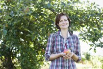 Woman in plaid shirt holding freshly picked apple at organic fruit farm. — Stock Photo