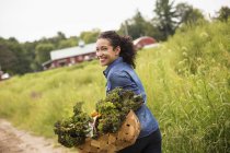 Mujer llevando cesta rebosante de verduras verdes frescas en granja orgánica . - foto de stock
