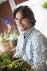 Молодий чоловік сортує салат на органічній фермі . — стокове фото