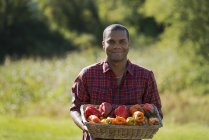Farmer with basket of organic bell peppers harvested from organic farm. — Stock Photo