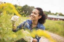 Mujer con guantes trabajando con plantas con flores en granja orgánica . - foto de stock