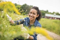 Mujer con guantes trabajando con plantas con flores en granja orgánica . - foto de stock
