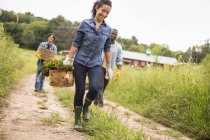 Farmers walking and carrying baskets of freshly picked vegetables on organic farm. — Stock Photo