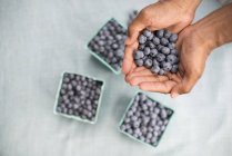 Male hands holding handful of fresh blueberries. — Stock Photo