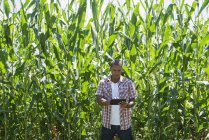 Молодой человек в повседневной одежде стоит перед кукурузными культурами и использует цифровые планшеты . — стоковое фото