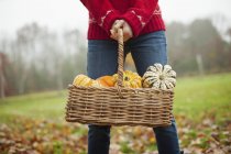 Woman in red knitted sweater holding basket of gourds and squashes. — Stock Photo