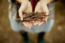 Close-up of female hands holding bunch of kindling twigs. — Stock Photo