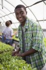 Молодий чоловік одягає розсаду і посміхається з друзями садівництва в теплиці . — стокове фото