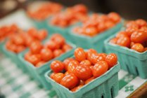 Boîtes de tomates mûres en carton vert . — Photo de stock