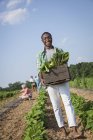 Adolescente sosteniendo caja de madera de verduras frescas cosechadas en el campo con gente de fondo . - foto de stock