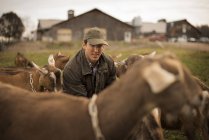 Agricultor que trabaja y atiende cabras en la granja . - foto de stock