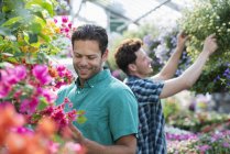 Zwei Männer stehlen Blumen und kontrollieren hängende Körbe in Gärtnerei. — Stockfoto