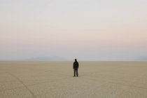 Mann steht in riesiger Wüstenlandschaft — Stockfoto