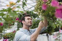 Homem adulto médio cuidando de flores no viveiro de plantas orgânicas . — Fotografia de Stock