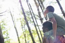 Elementary age boy sitting on father shoulders in woodland. — Stock Photo