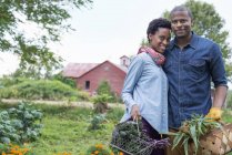 Ehepaar trägt Körbe mit frisch geerntetem Mais und grünem Gemüse auf Biobauernhof. — Stockfoto