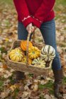 Woman in red knitted sweater holding basket of gourds and squashes. — Stock Photo