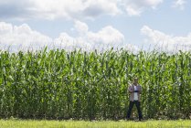 Jovem em roupas casuais em pé na frente do campo de milho e usando tablet digital . — Fotografia de Stock