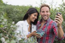 Man and woman taking selfie while picking blueberries at farm. — Stock Photo