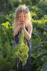 Elementary age girl with curly hair standing in sunny garden and holding freshly picked carrots. — Stock Photo