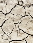Cracked parched earth and baked mud on ground. — Stock Photo