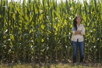 Mujer joven de pie con los brazos cruzados frente al campo de maíz . - foto de stock