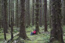 Uomo seduto tra abeti ricoperti di muschio nella lussureggiante foresta pluviale di Washington, USA — Foto stock