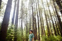 Хлопчик початкового віку стоїть в сосновому лісі в оточенні стовбурів дерев . — стокове фото