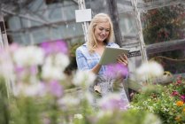 Young woman using digital tablet at organic plant nursery. — Stock Photo