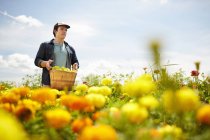 Landwirt trägt Korb mit grünen Paprika in Feld von gelben und orangefarbenen Blumen. — Stockfoto