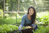 Junge Frau pflückt Gemüse auf traditionellem Bauernhof auf dem Land. — Stockfoto