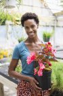 Усміхнена жінка тримає квітучу рослину бегонії з рожевими пелюстками на органічній фермі . — стокове фото