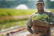 Man holding basket of freshly harvested cabbages in farm field. — Stock Photo