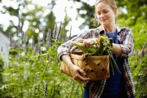 Жінка, що носить кошик зі свіжоспеченої кукурудзи на коб і овочі з саду . — стокове фото