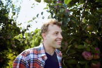 Mann im karierten Hemd schaut in Apfelplantage weg. — Stockfoto