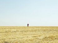 Silueta del hombre de pie en el horizonte del campo de rastrojos
. - foto de stock