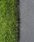 Деталь з пишними, зелена трава і тротуарні — стокове фото