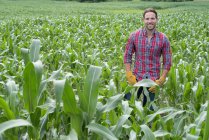 Молодий чоловік з руками на стегнах стоїть в полі кукурудзи на органічній фермі . — стокове фото