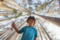 Афро-американських хлопчика, що тримається Гілка дерева сосни з фоном високих дерев. — стокове фото