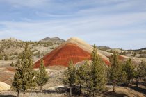 Formación de rocas volcánicas y bosques en el paisaje de Oregon - foto de stock
