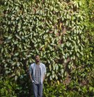 Hombre mirando hacia arriba en fuente de pared verde de plantas trepadoras y follaje . - foto de stock
