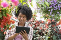 Середня доросла жінка використовує цифровий планшет у розплідниках рослин в оточенні барвистих квітів . — стокове фото