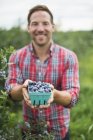Mann hält Karton mit frisch gepflückten Blaubeeren auf Bio-Obstgarten. — Stockfoto