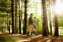 Casal adulto médio andando na floresta ensolarada, vista lateral . — Fotografia de Stock